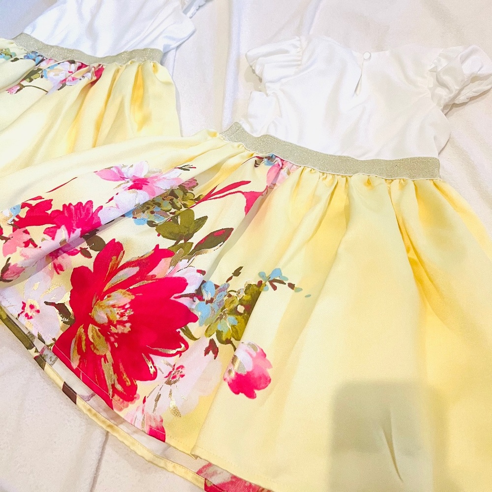 Lot of TWO pretty dresses from Nordstrom gold accents size 4T size 8